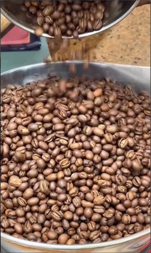 Freshly roasted beans — the foundation of every cup